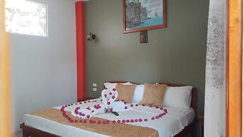 La Mirada De Solitario George