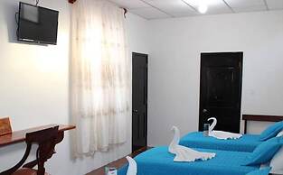 La Mirada De Solitario George