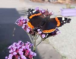 Off Grid Hideaway on the West Coast of Scotland