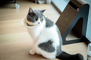 Hilton Shenzhen World Exhibition & Convention Center