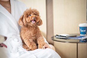 Hilton Shenzhen World Exhibition & Convention Center