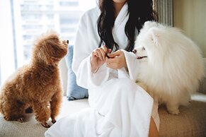 Hilton Shenzhen World Exhibition & Convention Center