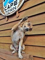 Cape Town Hostel