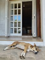 Cape Town Hostel
