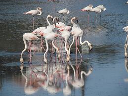 Maia Luxury Beach Hotel & Spa