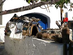 Art Studio Apartments