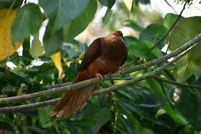 Stary Nights Luxury Camping