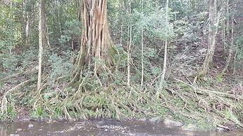 Stary Nights Luxury Camping