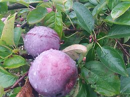 2013 Willerby Sunset Static Caravan Holiday Home