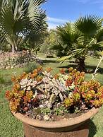 Maria Barbosa Tiradentes Hotel and Spa