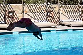 Queen Residence & Apart Hotel