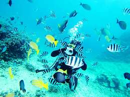 Grandioso Okinawa Villa Onna 3