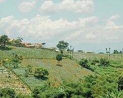 Kamala Villa 10 bedrooms with a private swimming pool