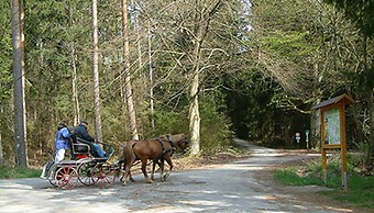Landgasthaus Zum Mönchshof