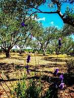 Holiday Home Olive Paradise