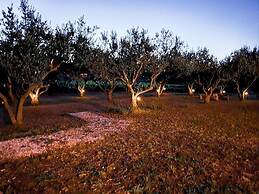 Holiday Home Olive Paradise
