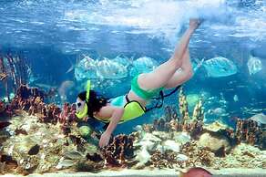 You Will Forever Be My Always