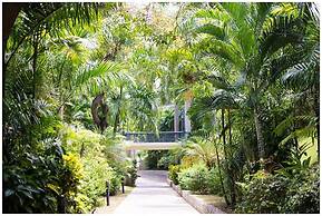 Catch Me Safely By The Sea