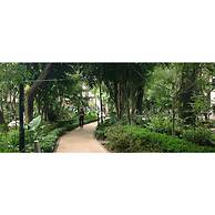 Destination Condesa @Amsterdam Views