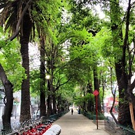 Destination Condesa @Amsterdam Views