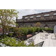 Master Loft in Historic Downtown