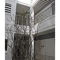 Master Loft in Historic Downtown