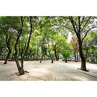 Parkfront PH Private Terrace Near Polanco