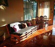 Guesthouse Morpho CR