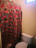 Guesthouse Morpho CR