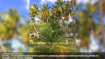 5 Star Caribbean Villa