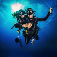 Albatros by Bedsfriends