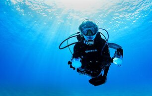 Albatros by Bedsfriends