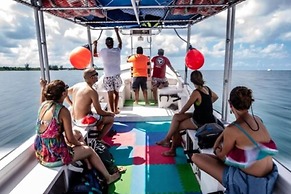 Albatros by Bedsfriends