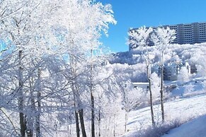 Sugar Ski & Country Club Unit 211 Bronze