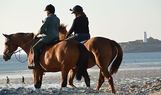 Secluded Meadow, Unique Shire Hut, Perfect Camping