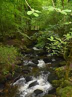 Secluded Meadow, Unique Shire Hut, Perfect Camping