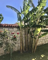 Fatma Hanım Konagi Alacati