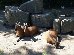 Tidy Holiday Home With Dishwasher