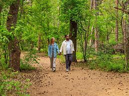 Modern Chalet With Dishwasher