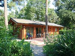 Wooden Chalet Located in the Achterhoek