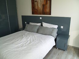 Modern Chalet Located in the Achterhoek