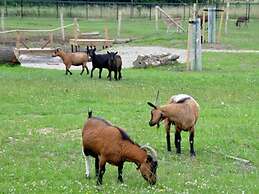 Detached Chalet 30km From Maastricht