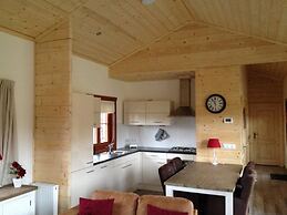 Wooden Chalet in a Holiday Park in the Achterhoek