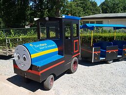 Wooden Chalet in a Holiday Park in the Achterhoek