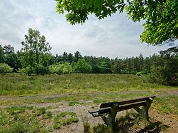 Modern Chalet With Wifi in the Green Achterhoek