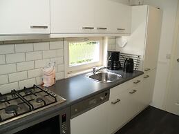 Modern Chalet With Wifi in the Green Achterhoek