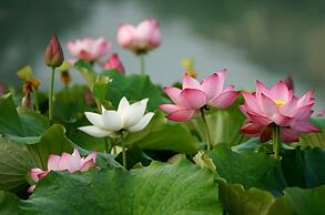 AZIMUT Hotel Volga Astrakhan