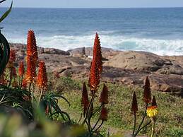 Southern Comfort - On the Pool