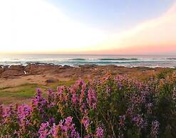 Southern Comfort  On the Sea