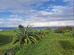 Southern Comfort  On the Sea